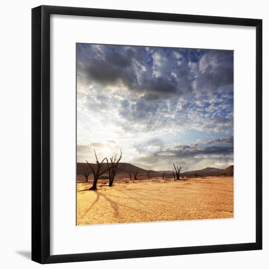 Dead Valley in Namibia-Andrushko Galyna-Framed Photographic Print