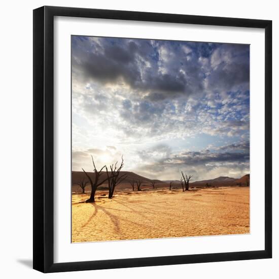 Dead Valley in Namibia-Andrushko Galyna-Framed Photographic Print