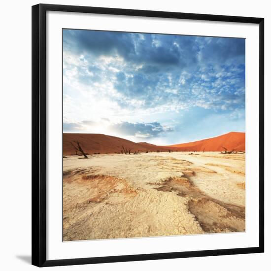 Dead Valley in Namibia-Andrushko Galyna-Framed Photographic Print