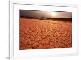 Dead Valley in Namibia-Andrushko Galyna-Framed Photographic Print