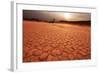 Dead Valley in Namibia-Andrushko Galyna-Framed Photographic Print