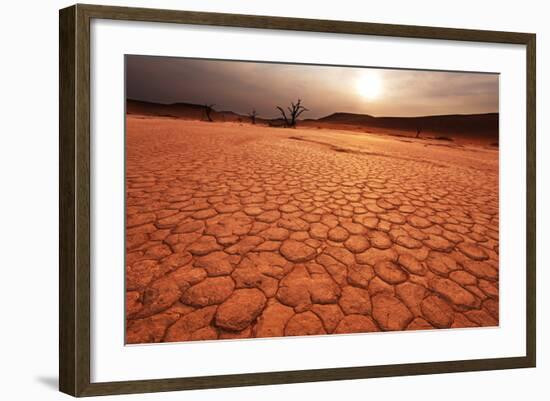 Dead Valley in Namibia-Andrushko Galyna-Framed Photographic Print