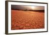 Dead Valley in Namibia-Andrushko Galyna-Framed Photographic Print