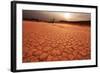 Dead Valley in Namibia-Andrushko Galyna-Framed Photographic Print