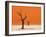 Dead Valley in Namibia-Andrushko Galyna-Framed Photographic Print