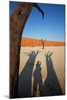 Dead Valley in Namibia-Andrushko Galyna-Mounted Photographic Print