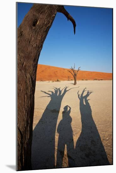 Dead Valley in Namibia-Andrushko Galyna-Mounted Photographic Print