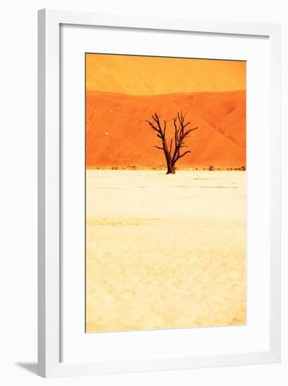 Dead Valley in Namibia-Andrushko Galyna-Framed Photographic Print