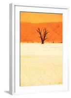 Dead Valley in Namibia-Andrushko Galyna-Framed Photographic Print