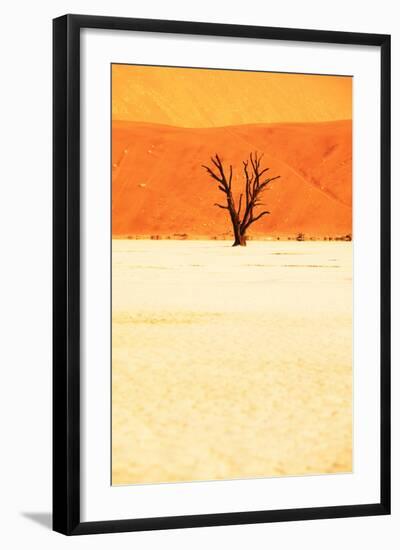 Dead Valley in Namibia-Andrushko Galyna-Framed Photographic Print