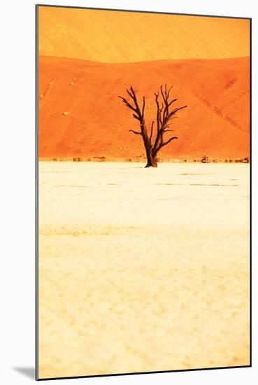 Dead Valley in Namibia-Andrushko Galyna-Mounted Photographic Print