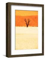 Dead Valley in Namibia-Andrushko Galyna-Framed Photographic Print