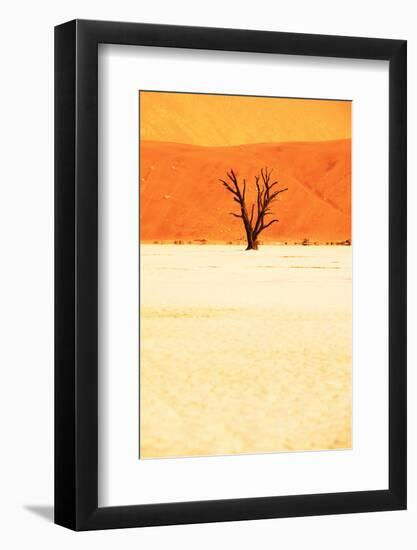 Dead Valley in Namibia-Andrushko Galyna-Framed Photographic Print