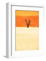 Dead Valley in Namibia-Andrushko Galyna-Framed Photographic Print