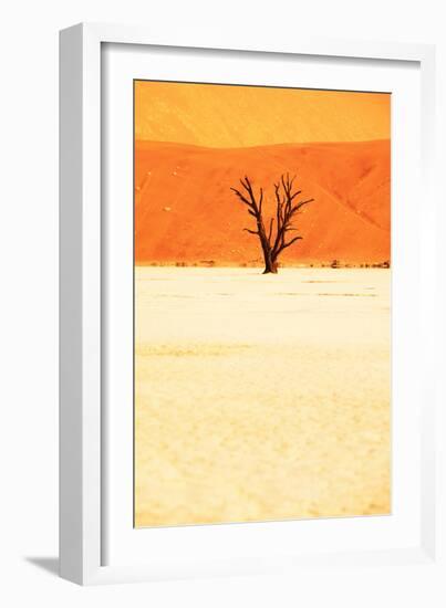 Dead Valley in Namibia-Andrushko Galyna-Framed Photographic Print