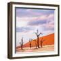 Dead Valley in Namibia-Andrushko Galyna-Framed Photographic Print