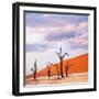 Dead Valley in Namibia-Andrushko Galyna-Framed Photographic Print