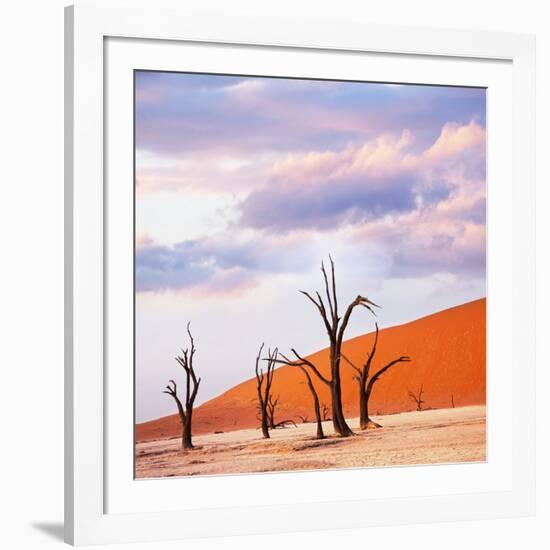 Dead Valley in Namibia-Andrushko Galyna-Framed Photographic Print