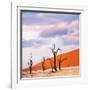 Dead Valley in Namibia-Andrushko Galyna-Framed Photographic Print