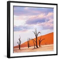 Dead Valley in Namibia-Andrushko Galyna-Framed Photographic Print