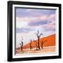 Dead Valley in Namibia-Andrushko Galyna-Framed Photographic Print