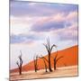 Dead Valley in Namibia-Andrushko Galyna-Mounted Photographic Print