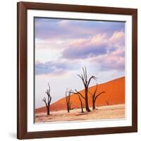 Dead Valley in Namibia-Andrushko Galyna-Framed Photographic Print