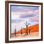 Dead Valley in Namibia-Andrushko Galyna-Framed Photographic Print