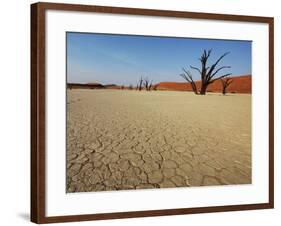 Dead Valley in Namibia-Andrushko Galyna-Framed Photographic Print