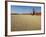 Dead Valley in Namibia-Andrushko Galyna-Framed Photographic Print