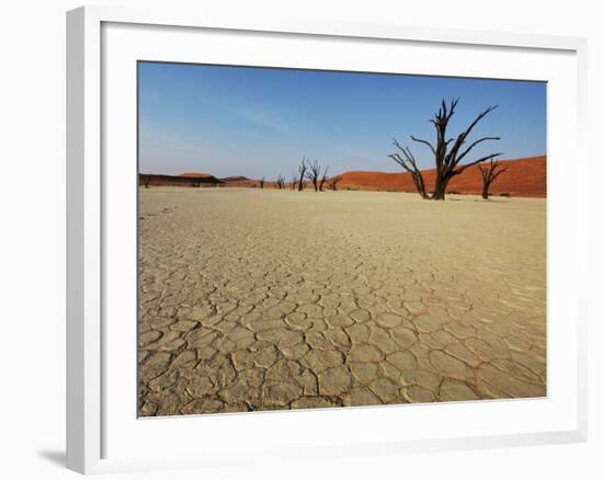 Dead Valley in Namibia-Andrushko Galyna-Framed Photographic Print