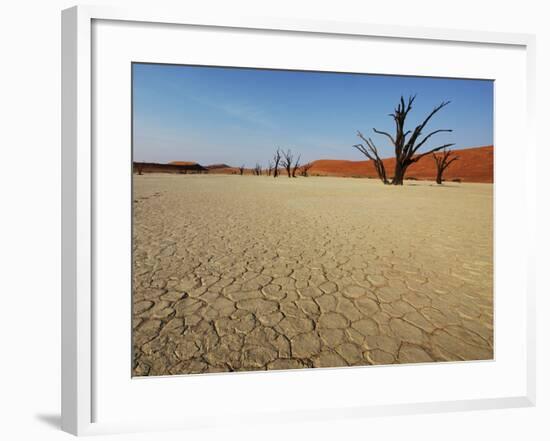 Dead Valley in Namibia-Andrushko Galyna-Framed Photographic Print