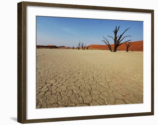 Dead Valley in Namibia-Andrushko Galyna-Framed Photographic Print