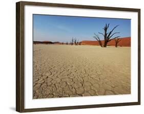 Dead Valley in Namibia-Andrushko Galyna-Framed Photographic Print