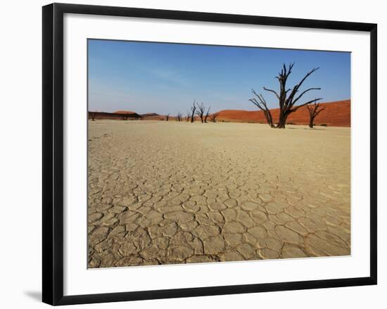 Dead Valley in Namibia-Andrushko Galyna-Framed Photographic Print