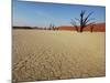 Dead Valley in Namibia-Andrushko Galyna-Mounted Photographic Print