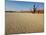 Dead Valley in Namibia-Andrushko Galyna-Mounted Photographic Print