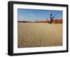 Dead Valley in Namibia-Andrushko Galyna-Framed Photographic Print