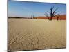 Dead Valley in Namibia-Andrushko Galyna-Mounted Photographic Print