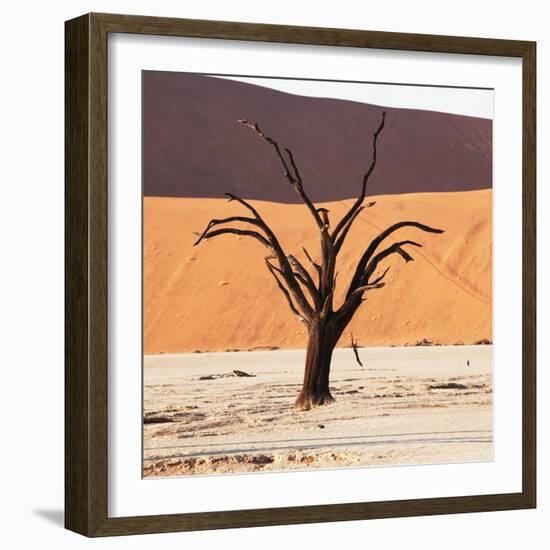 Dead Valley in Namibia-Andrushko Galyna-Framed Photographic Print