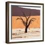 Dead Valley in Namibia-Andrushko Galyna-Framed Photographic Print