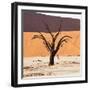 Dead Valley in Namibia-Andrushko Galyna-Framed Photographic Print