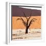 Dead Valley in Namibia-Andrushko Galyna-Framed Photographic Print