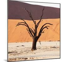 Dead Valley in Namibia-Andrushko Galyna-Mounted Photographic Print