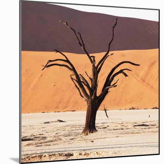 Dead Valley in Namibia-Andrushko Galyna-Mounted Photographic Print