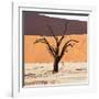 Dead Valley in Namibia-Andrushko Galyna-Framed Photographic Print