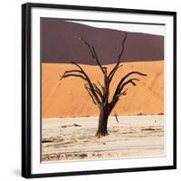 Dead Valley in Namibia-Andrushko Galyna-Framed Photographic Print