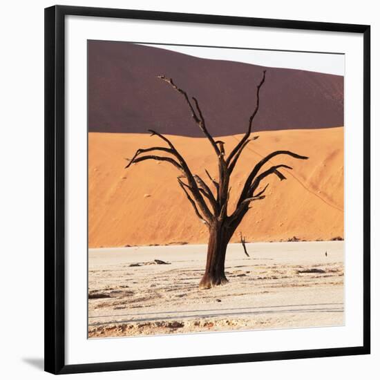 Dead Valley in Namibia-Andrushko Galyna-Framed Photographic Print