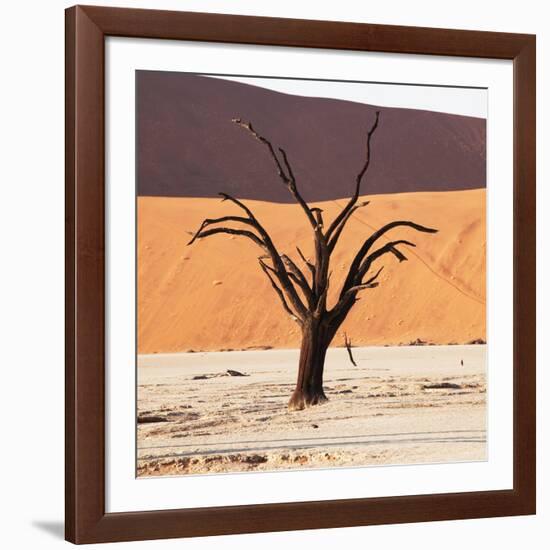 Dead Valley in Namibia-Andrushko Galyna-Framed Photographic Print