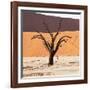 Dead Valley in Namibia-Andrushko Galyna-Framed Photographic Print